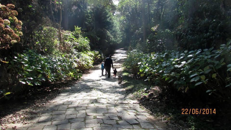 Refugio Melissa Daire Campos do Jordao Dış mekan fotoğraf